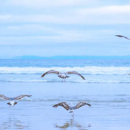 Zonnig Zuid - Aan Zee * Julianadorp