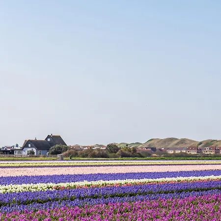 度假居 Zonnig Zuid - Aan Zee *